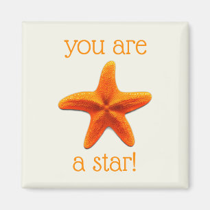 Aimant Tu es une star