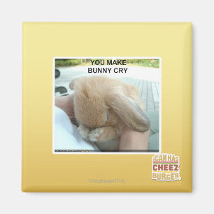 Aimant Tu fais pleurer le lapin