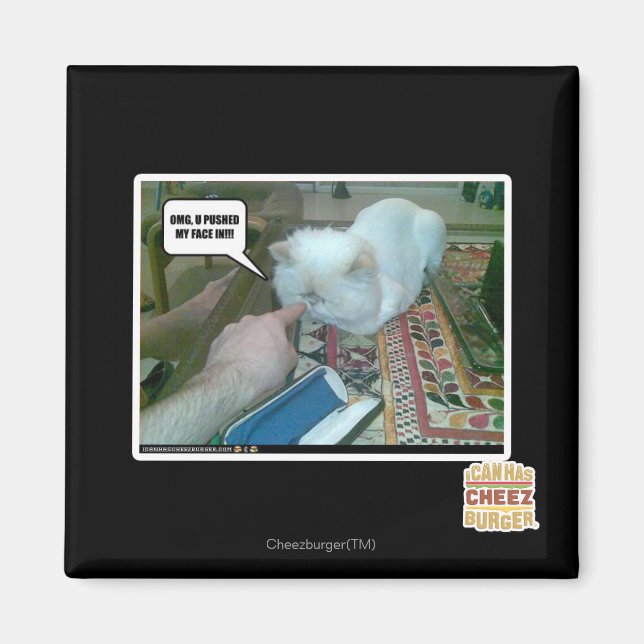 Aimant Tu m'as fait entrer le visage ! (Devant)