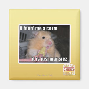Aimant Tu m'as trouvé du maïs