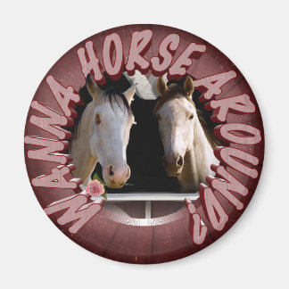 Aimant Tu veux faire du cheval ?