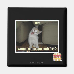 Aimant Tu viens voir le fort de mah ?