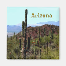 Tucson Arizona Magnétique