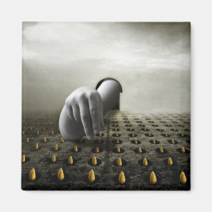 Aimant Tulip voleur 2013