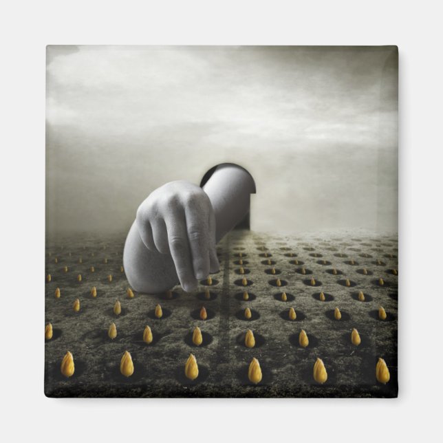 Aimant Tulip voleur 2013 (Devant)