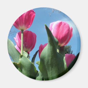 Aimant Tulipes