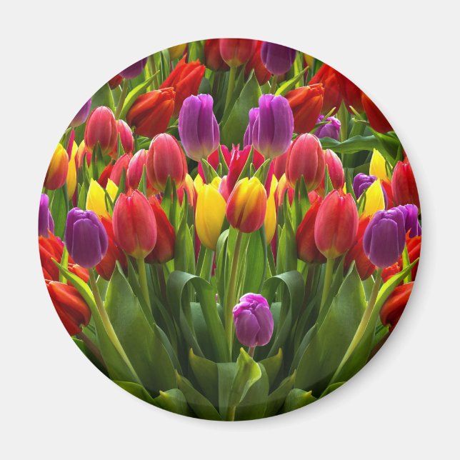 Aimant Tulipes lumineuses (Devant)