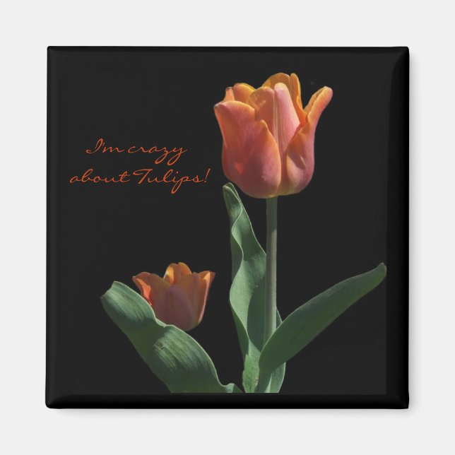 Aimant "Tulipes orange" (Devant)