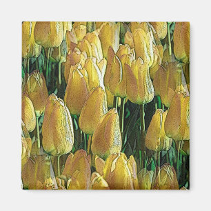 Aimant Tulips Sunshine Yellow
