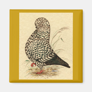 Aimant Tumbler Pigeon LFCL Splash