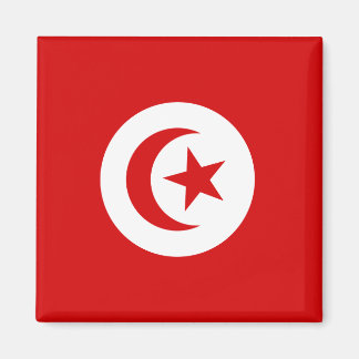 Aimant Tunisie