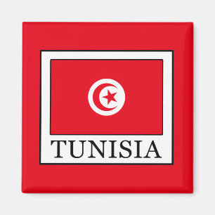 Aimant Tunisie