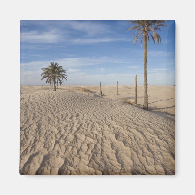 Aimant Tunisie, désert du Sahara, Douz, Grande Dune, aube (Devant)