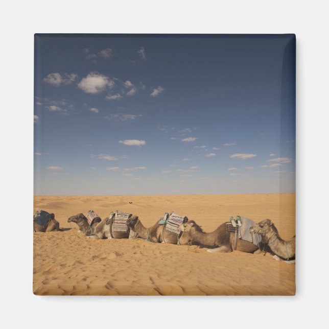 Aimant Tunisie, Ksour Area, Ksar Ghilane, Grand Erg 2 (Devant)