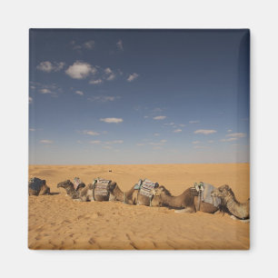 Aimant Tunisie, Ksour Area, Ksar Ghilane, Grand Erg 4