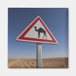 Aimant Tunisie, Ksour Area, Ksar Ghilane, Grand Erg 6