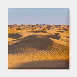 Aimant Tunisie, région des Ksour, Ksar Ghilane, Grand Erg