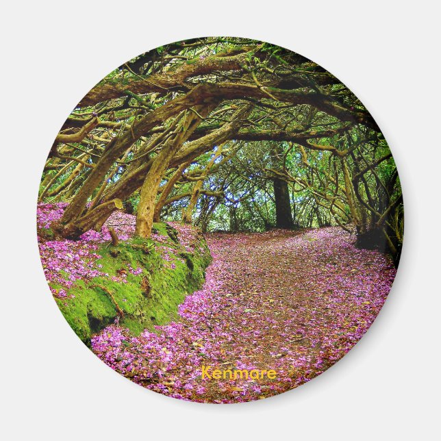 Aimant Tunnel Fairy, Kenmare (Devant)