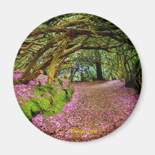 Aimant Tunnel féerique, Kenmare