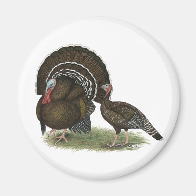 Aimant Turkey Standard Bronze (Devant)