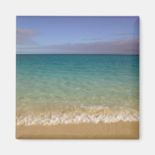 Aimant Turks et Caïcos, île de Providenciales, Grace 2