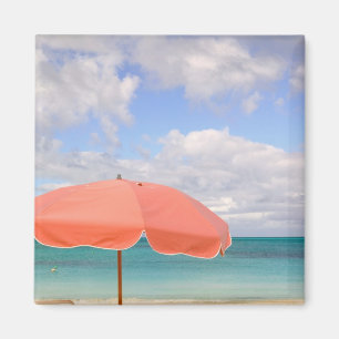 Aimant Turks et Caïcos, île Providenciales, Grace