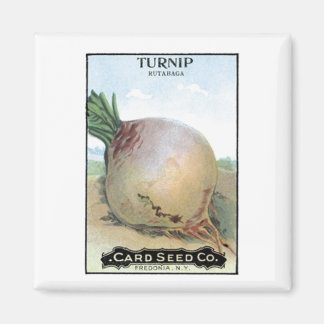 Aimant Turnip, société Card Seed