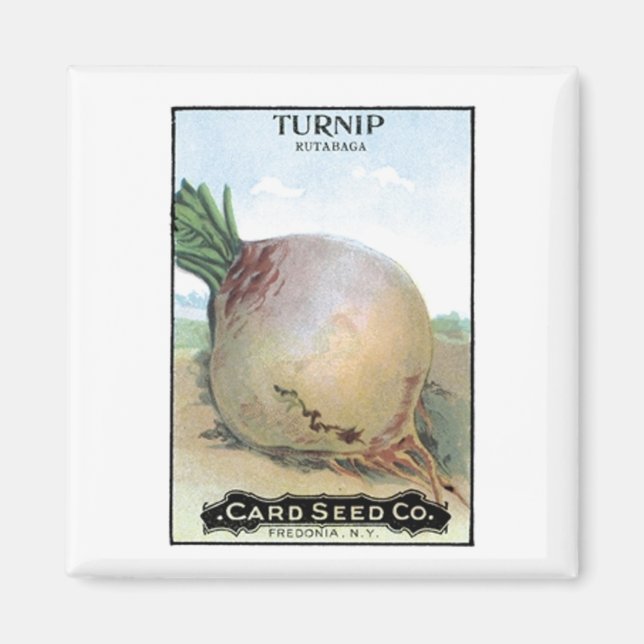 Aimant Turnip, société Card Seed (Devant)