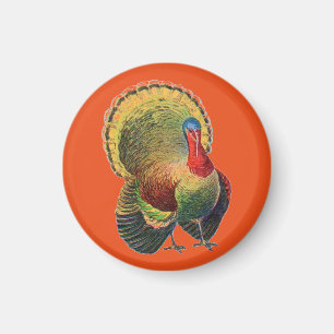 Aimant Turquie Vintage colorée