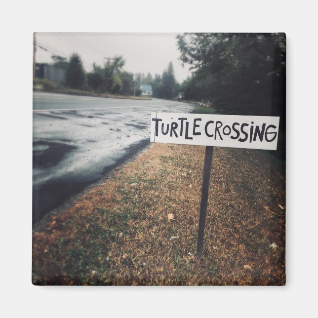 Aimant turtle crossing (Devant)