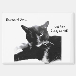 Aimant Tuxedo Cat with Shady Smile 