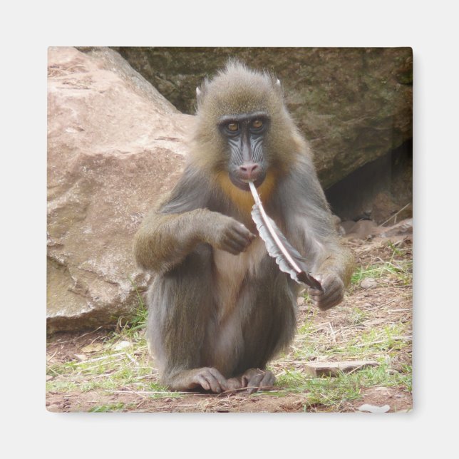 Aimant Tuyau de paix (Devant)