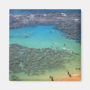 Aimant Tuyaux à Hanauma Bay, Oahu, Hawaii