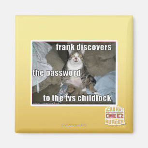Aimant TV Childlock