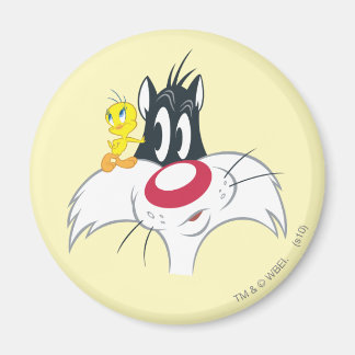 Aimant Tweety In Action Pose 12