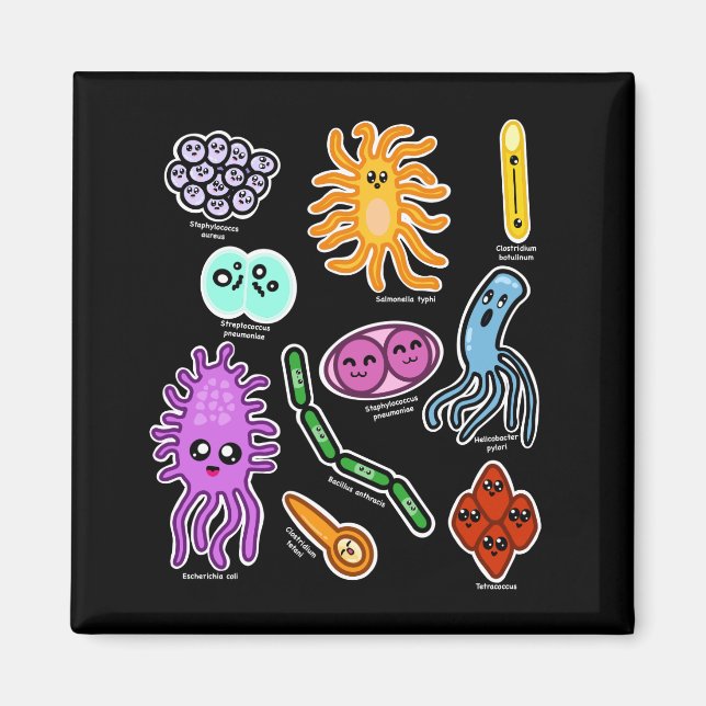 Aimant Types de bactéries (Devant)