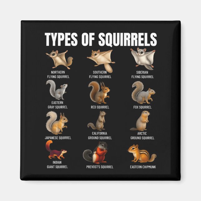 Aimant Types de écureuils Tableau d'identification Espèce (Devant)