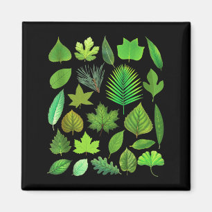 Aimant Types de feuilles d'arbre Biologie Nature Éducatif