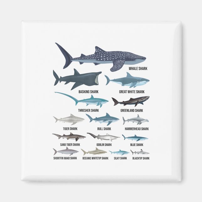 Aimant Types De Requins Espèces De Requin Identification  (Devant)