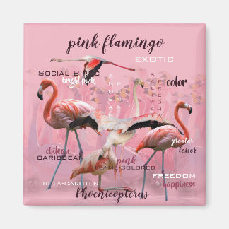Aimant Typographe rose Flamingo | Customized