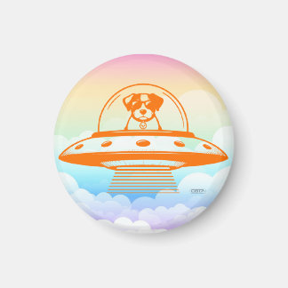AIMANT UFO PETS