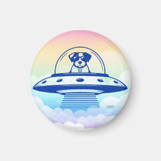 AIMANT UFO PETS