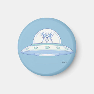 AIMANT UFO PETS