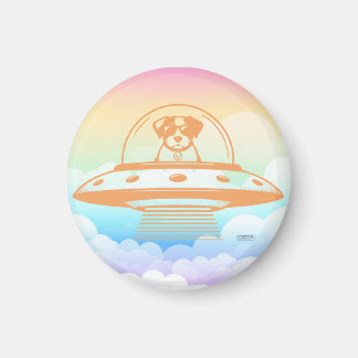 AIMANT UFO PETS