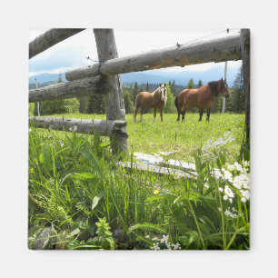 Aimant Ukraine : dans les Carpates