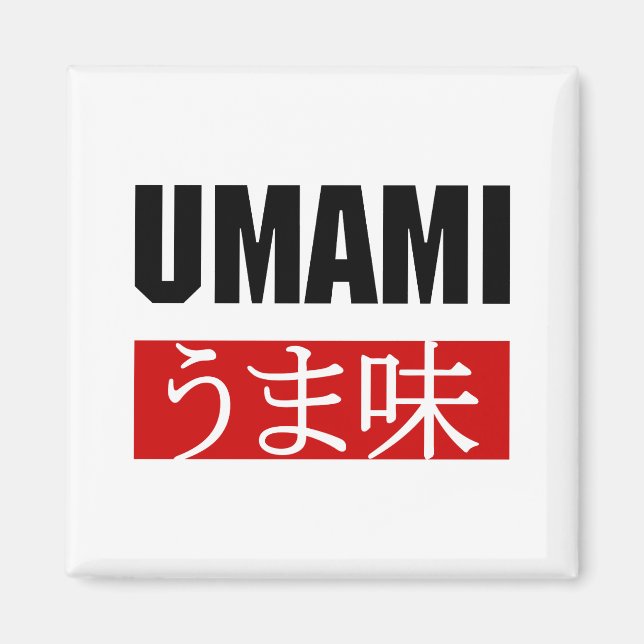 AIMANT UMAMI う ま 味 (Devant)