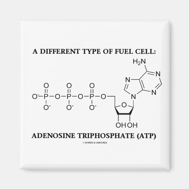 Aimant Un Autre Type De Cellule À Carburant (ATP) (Devant)