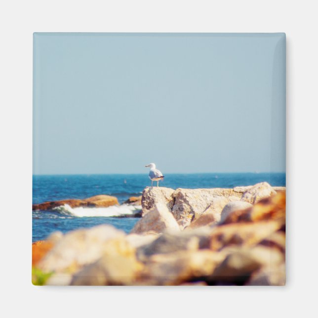 Aimant Un billet de Gull (Devant)