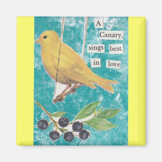Aimant Un canari, chante le mieux en amour (Devant)