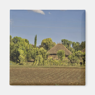 Aimant Un champ cultivé devant des maisons à toit de chau
